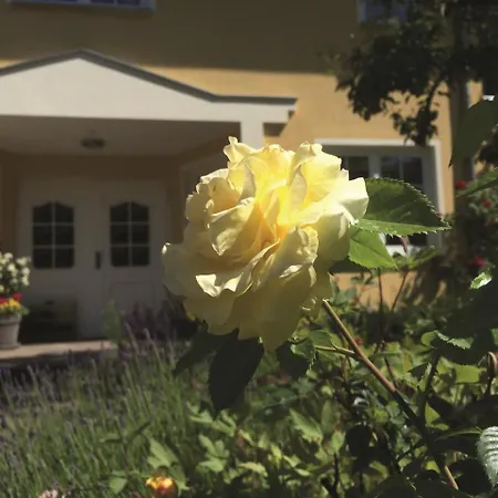 Muehlenblick Appartement